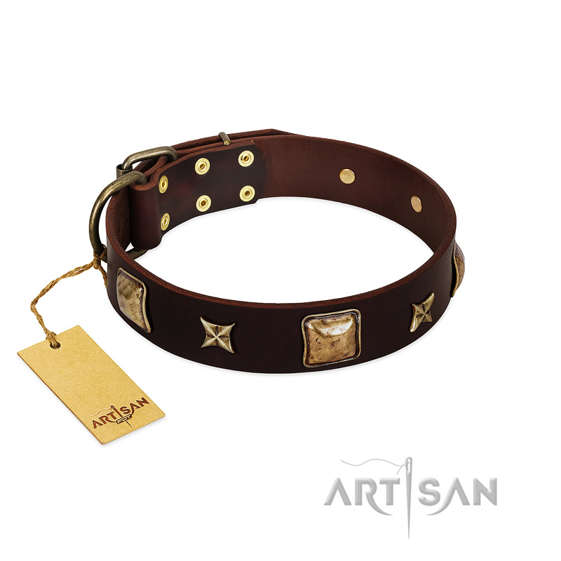 "Choco Dreams" FDT Artisan Brown Leather Great Dane Collar with Squares and Stars