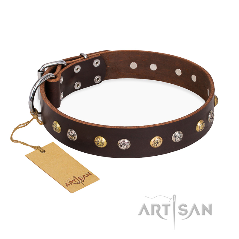 "Golden"n"Silver Luxury" FDT Artisan Leather Great Dane Collar with Engraved Studs