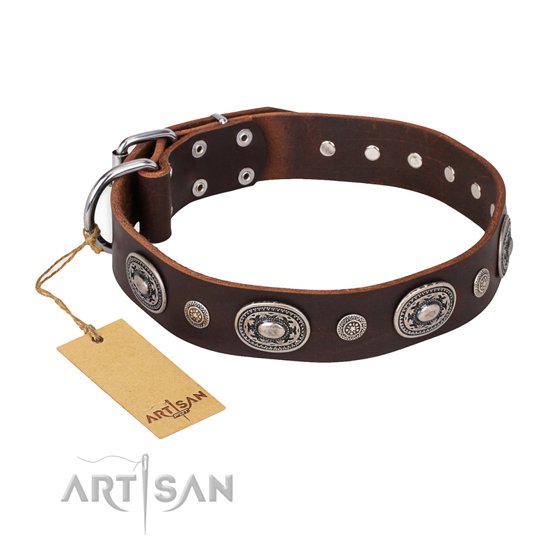 "Extra Pizzazz" FDT Artisan Adorned Brown Leather Great Dane Collar