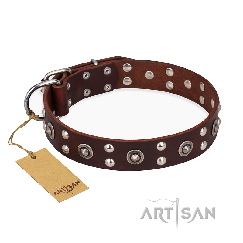 "Pirate Treasure" FDT Artisan Exciting Brown Leather Great Dane Collar with Studs