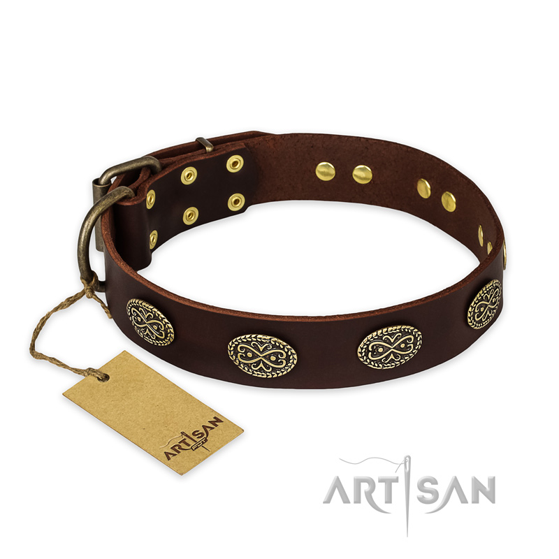 "Chocolate kiss" FDT Artisan Leather Great Dane Collar with Old Bronze Look Oval Plates
