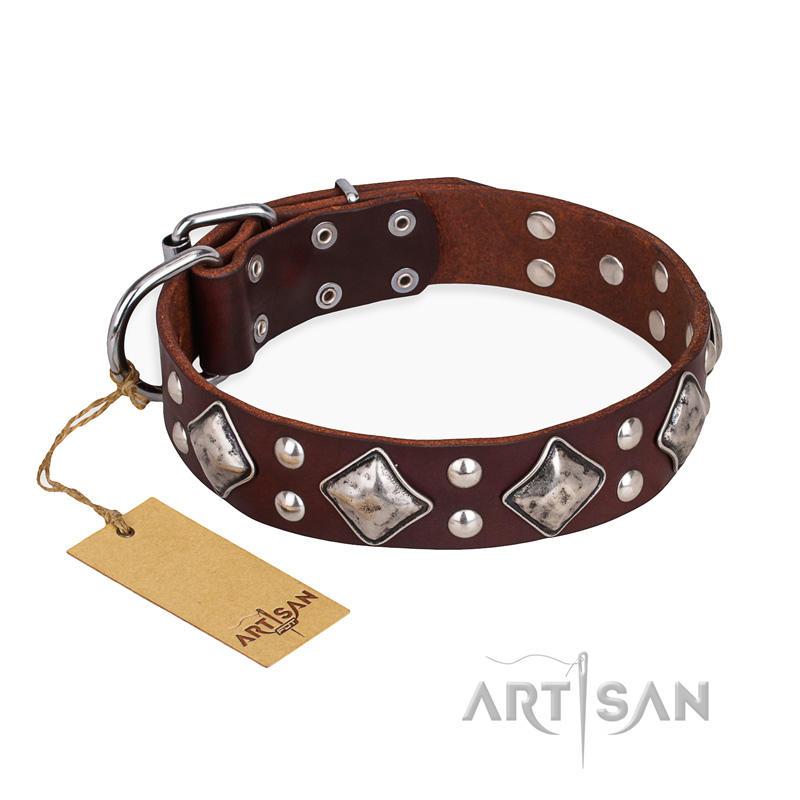 "King of Grace" FDT Artisan Stylish Leather Great Dane Collar with Old Silver-Like Plated Decorations