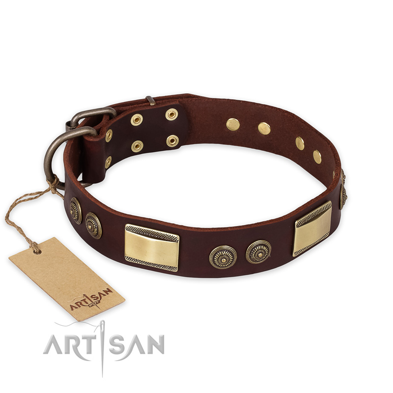 "Golden Stones" FDT Artisan Brown Leather Great Dane Collar with Old Bronze Look Plates and Circles