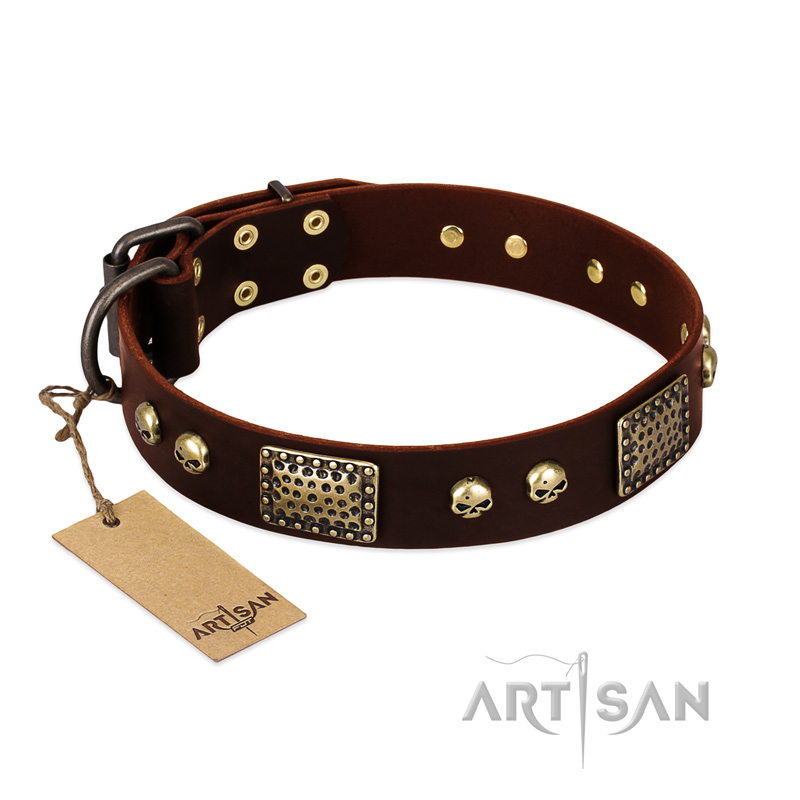 "Magic Amulet" Brown Leather Great Dane Collar with Skulls and Plates - Click Image to Close