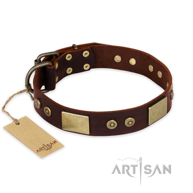 "Shining Armour" FDT Artisan Brown Leather Great Dane Collar with Decorations