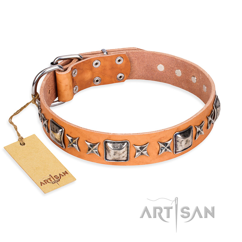 "Glamour Finery" FDT Artisan Female Great Dane collar of natural leather with stylish old-looking circles
