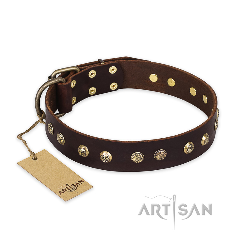 "Bronze Sheen" FDT Artisan Leather Great Dane Collar with Brass-Plated Studs