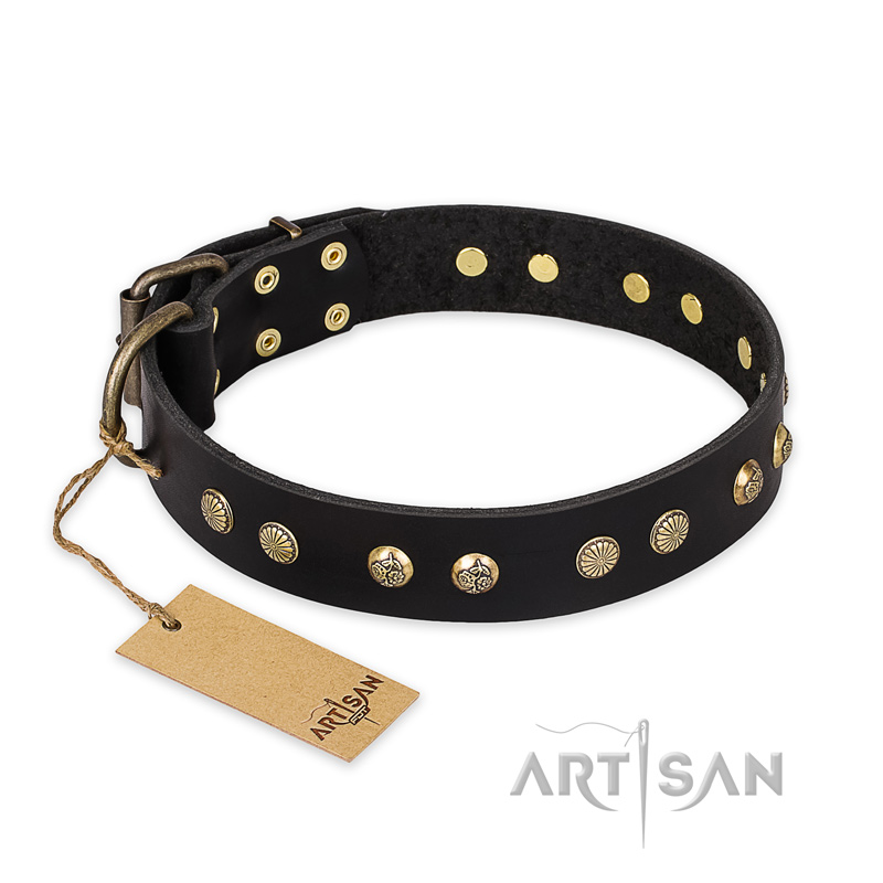 "Black Elegance" FDT Artisan Leather Great Dane Collar with Round Studs