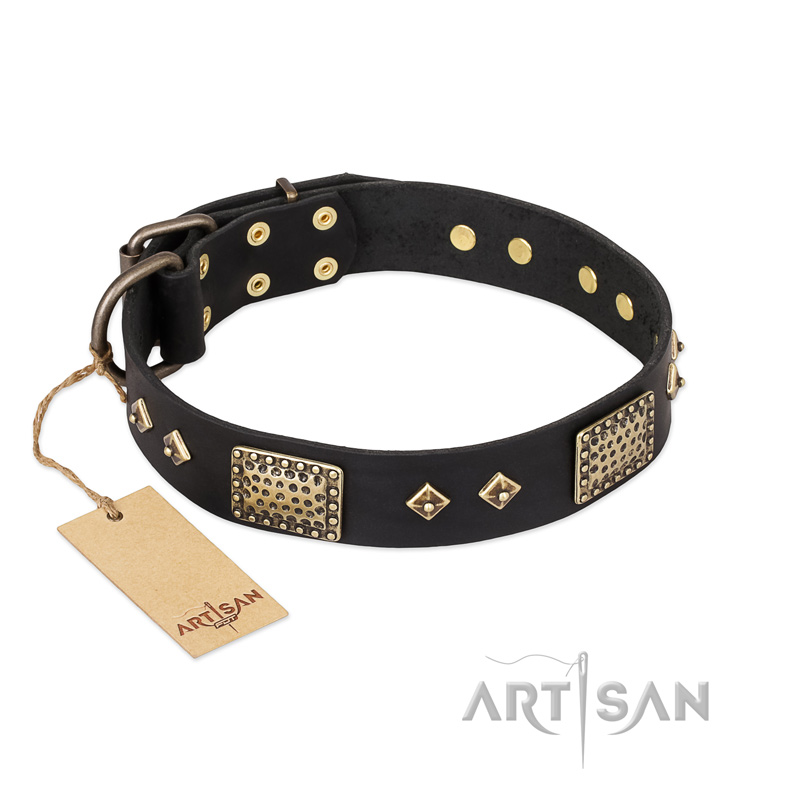 "Jewel Passion" FDT Artisan Fashionable Black Leather Great Dane Collar