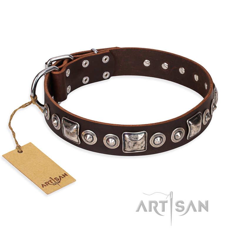 "Pierian spring" FDT Artisan Brown Leather Great Dane Collar with Silvery Decorations