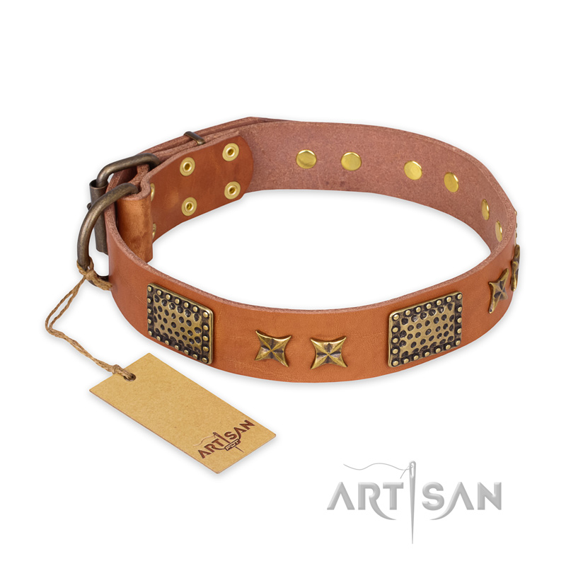 "Cosmic Traveller" FDT Artisan Adorned Leather Great Dane Collar with Old Bronze-Plated Stars and Plates