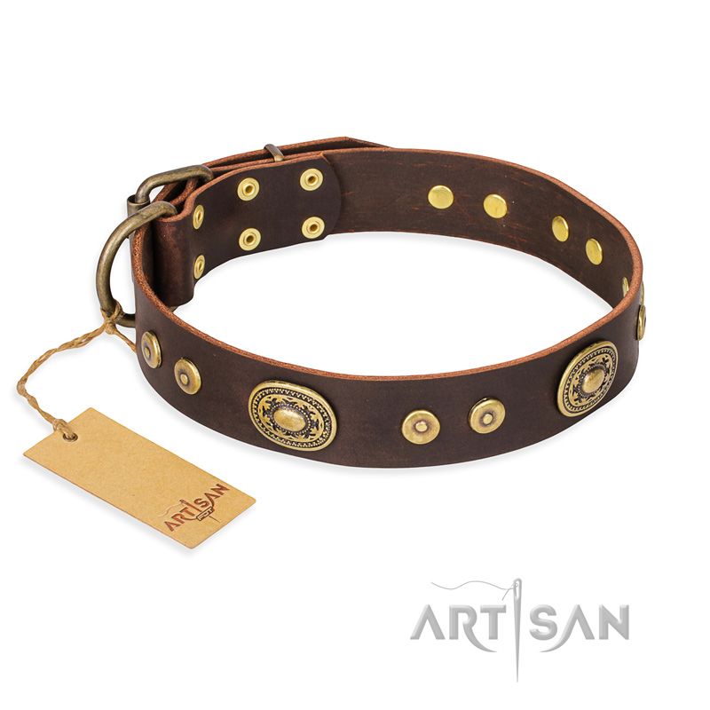 "One-of-a-Kind" FDT Artisan Handmade Decorated Brown Leather Great Dane Collar