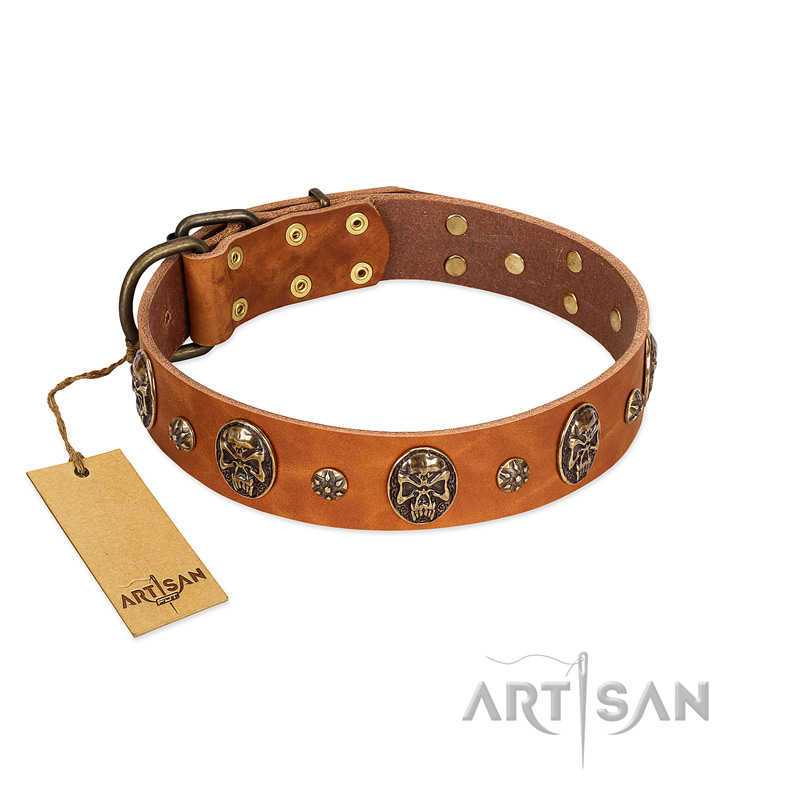 "Rockstar" FDT Artisan Tan Leather Great Dane Collar with Engraved Studs and Medallions