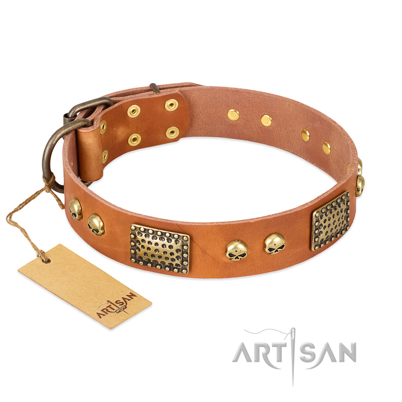 "Saucy Nature" FDT Artisan Tan Leather Great Dane Collar with Old Bronze Look Plates and Skulls