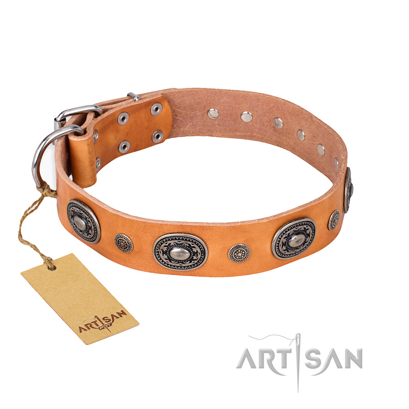 "Twinkle Twinkle" FDT Artisan Incredible Studded Tan Leather Great Dane Collar