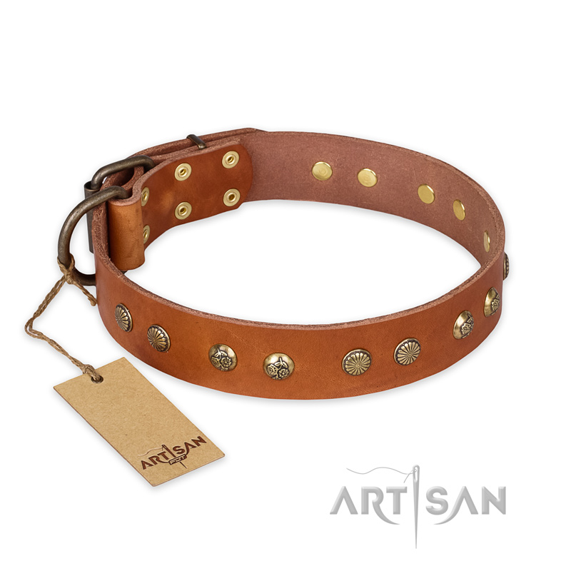 "Spring Flavor" FDT Artisan Adorned Leather Great Dane Collar with Old Bronze-Plated Engraved Studs