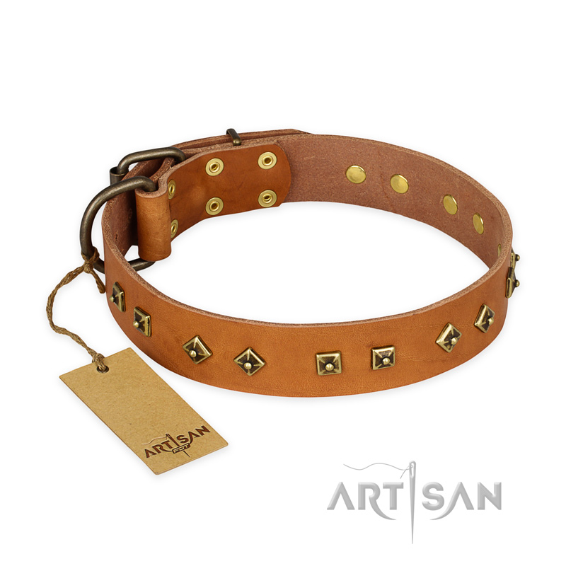 "Autumn Story" FDT Artisan Leather Great Dane Collar with Old Bronze Look Studs