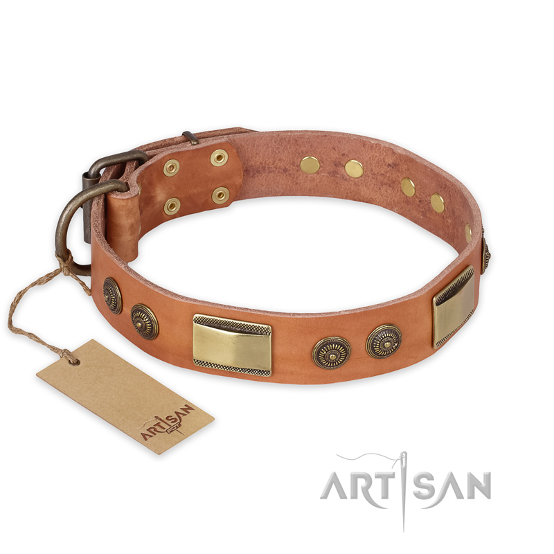 "Lost Desert" FDT Artisan Leather Great Dane Collar with Brass Decorations
