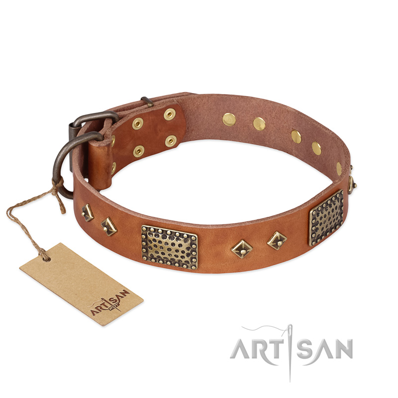 "Catchy Look" FDT Artisan Decorated Tan Leather Great Dane Collar