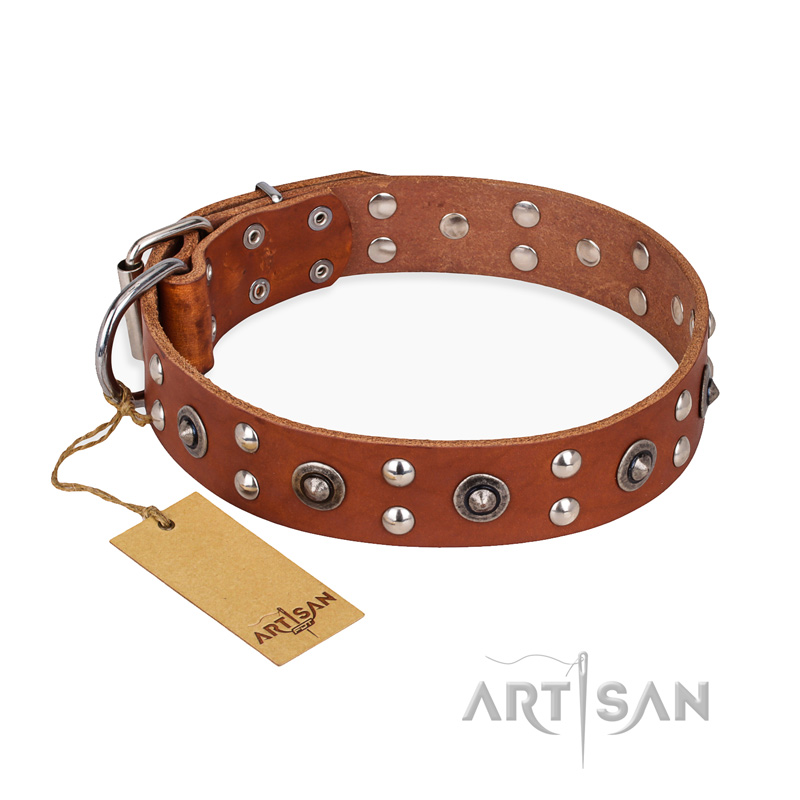 "Silver Elegance" FDT Artisan Decorated Leather Great Dane Collar with Old Silver-Like Plated Studs and Cones