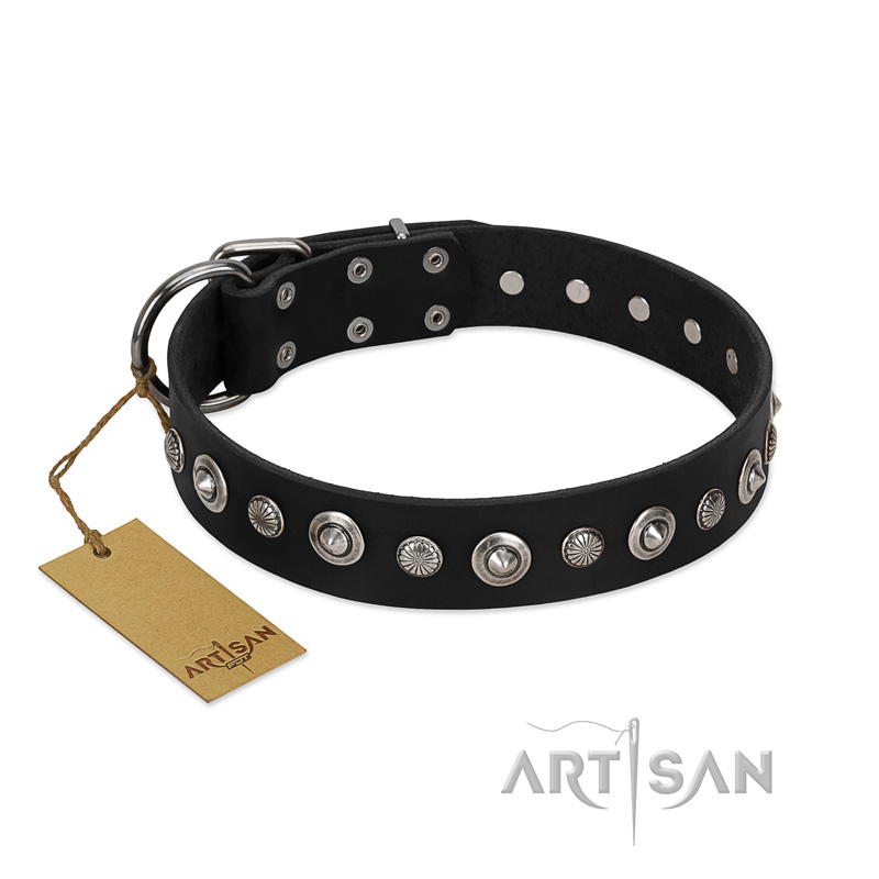 "Genteel Charm" FDT Artisan Black Leather Great Dane Collar with Silver-like Round Conchos