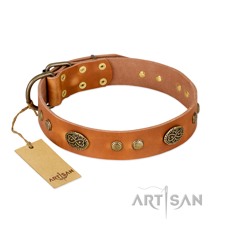 "Sun Beams" FDT Artisan Tan Leather Great Dane Collar with Decorations