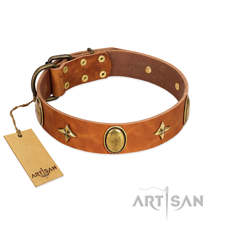 "Space Warrior" FDT Artisan Tan Leather Great Dane Collar with Ovals and Stars