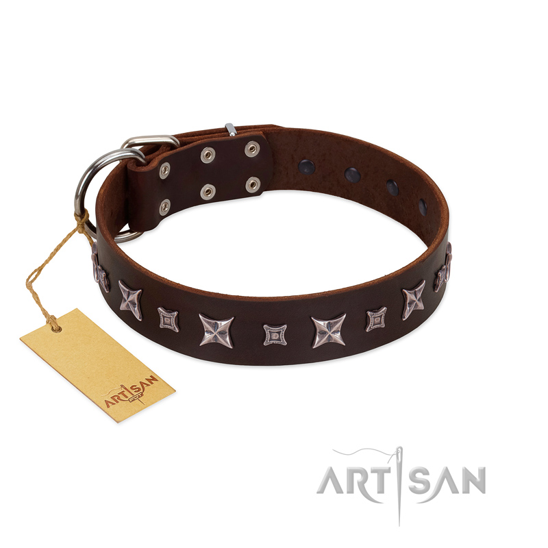 "Stellar Fairy " FDT Artisan Brown Leather Great Dane Collar with Chrome-plated Star-like Decorations - Click Image to Close