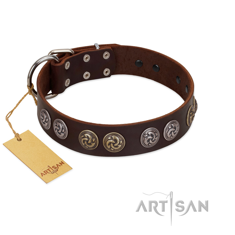 "Treasure Hunter" FDT Artisan Brown Leather Great Dane Collar with Old-Bronze-like and Silvery Medallions