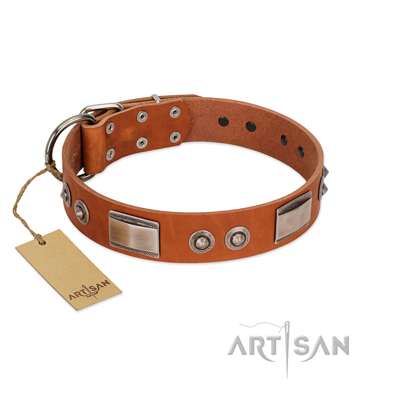 "Pawsy Glossy" FDT Artisan Exclusive Tan Leather Great Dane Collar 1 1/2 inch (40 mm) wide