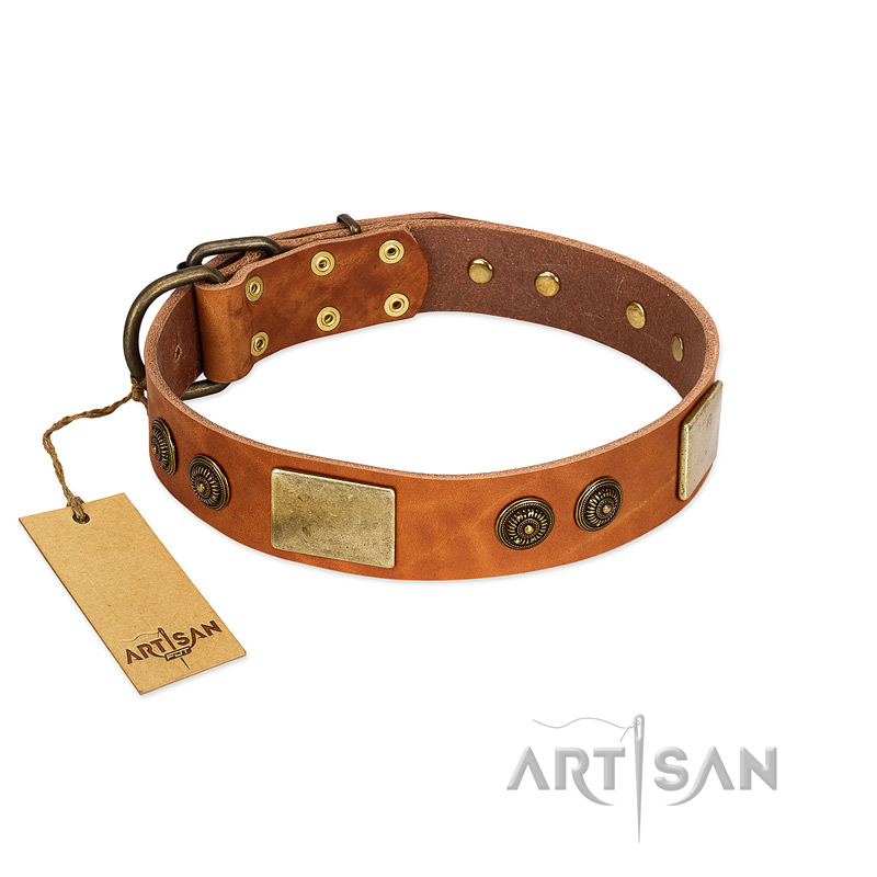 "Bronze Century" FDT Artisan Tan Leather Great Dane Collar with Plates and Brooches with Cool Ornament