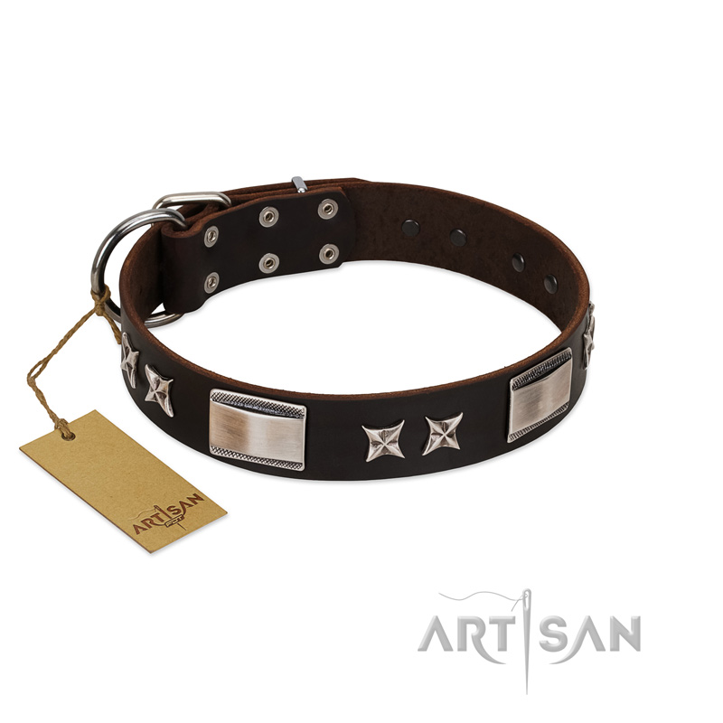 "Satin Beauts" FDT Artisan Brown Leather Great Dane Collar with Stars and Plates