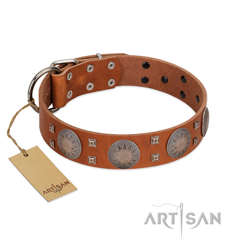 "Sun Rise Noon" FDT Artisan Tan Leather Great Dane Collar with Unique Design