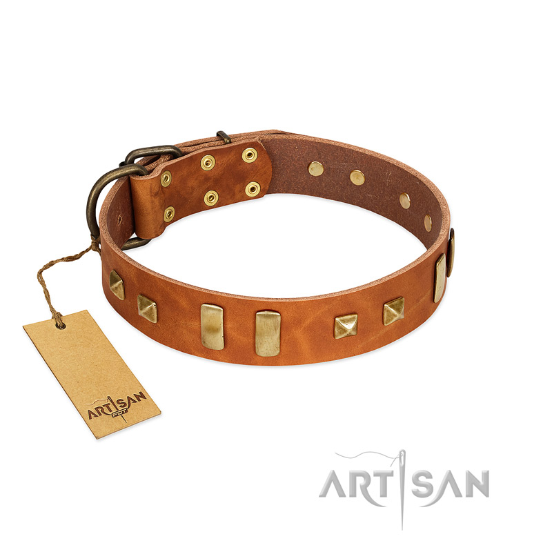 "Sand of Time" FDT Artisan Tan Leather Great Dane Collar with Old Bronze-like Studs and Plates - Click Image to Close