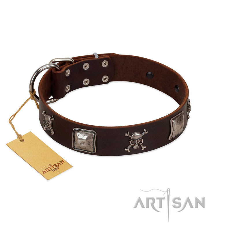 "Nut-Brown Finery" Embellished FDT Artisan Brown Leather Great Dane Collar with Chrome Plated Crossbones and Plates