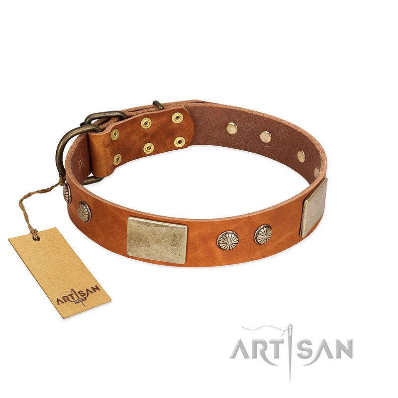 "Ancient Treasures" FDT Artisan Tan Leather Great Dane Collar with Antiqued Plates and Studs
