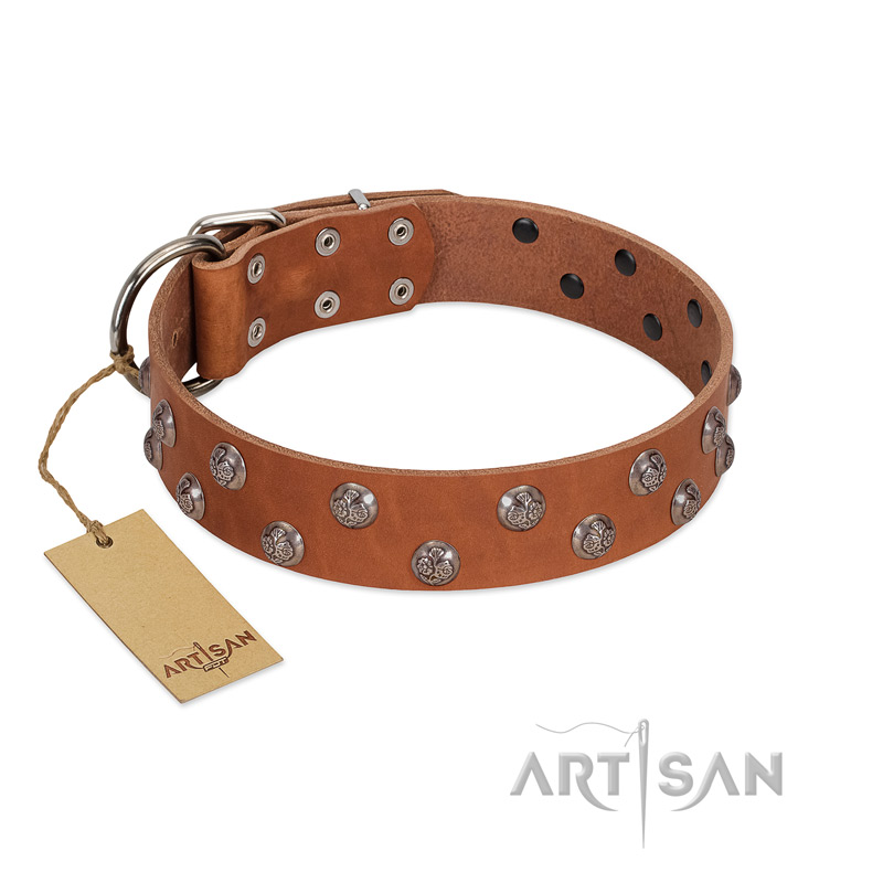 "Waltz of the Flowers" Handmade FDT Artisan Tan Leather Great Dane Collar with Chrome-plated Engraved Studs