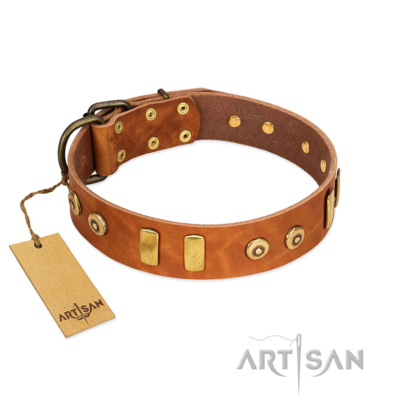 "Egyptian Script" FDT Artisan Tan Leather Great Dane Collar with Plates and Small Studs