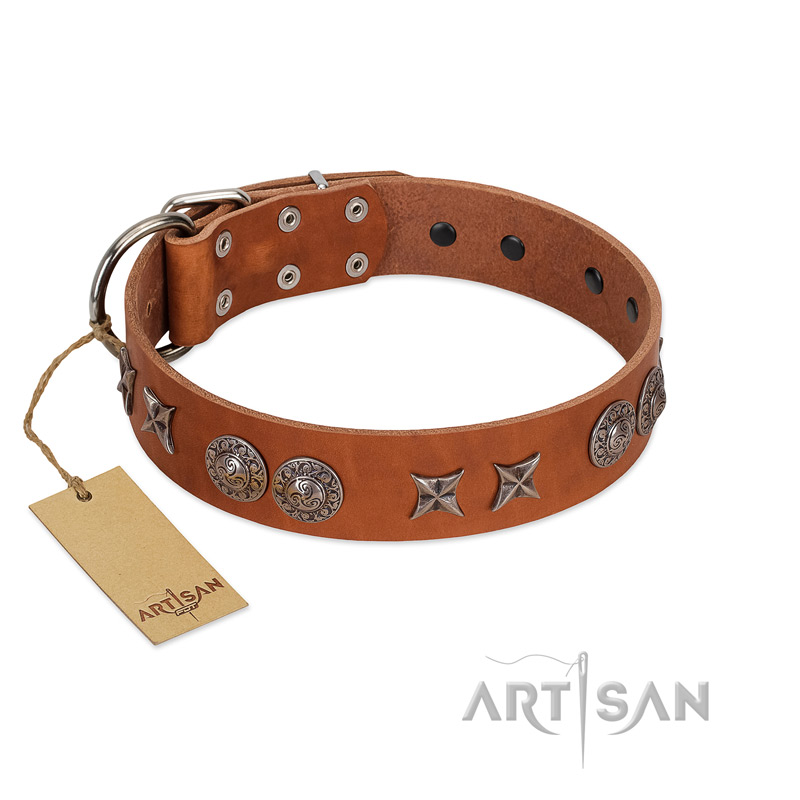 "Splendid Armor" Premium Quality FDT Artisan Tan Designer Great Dane Collar with Shields and Stars