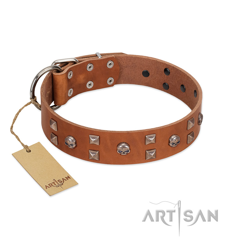 "Enchanted Skulls" FDT Artisan Tan Leather Great Dane Collar with Chrome Plated Skulls