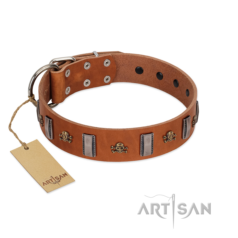 "Golden Crossbones" Handmade FDT Artisan Tan Leather Great Dane Collar with Plates and Skulls