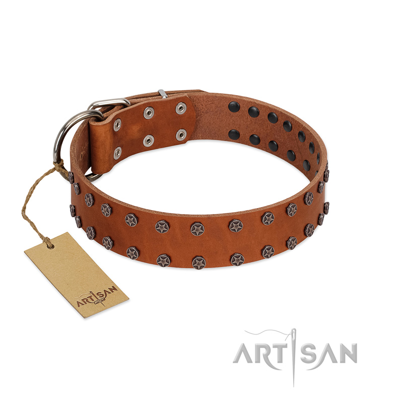 "Star Light" Stylish FDT Artisan Tan Leather Great Dane Collar with Silver-Like Studs