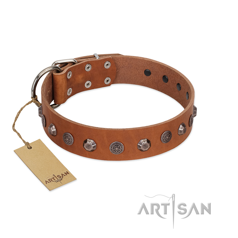 "Silver Age" Fashionable FDT Artisan Tan Leather Great Dane Collar with Silver-Like Studs - Click Image to Close