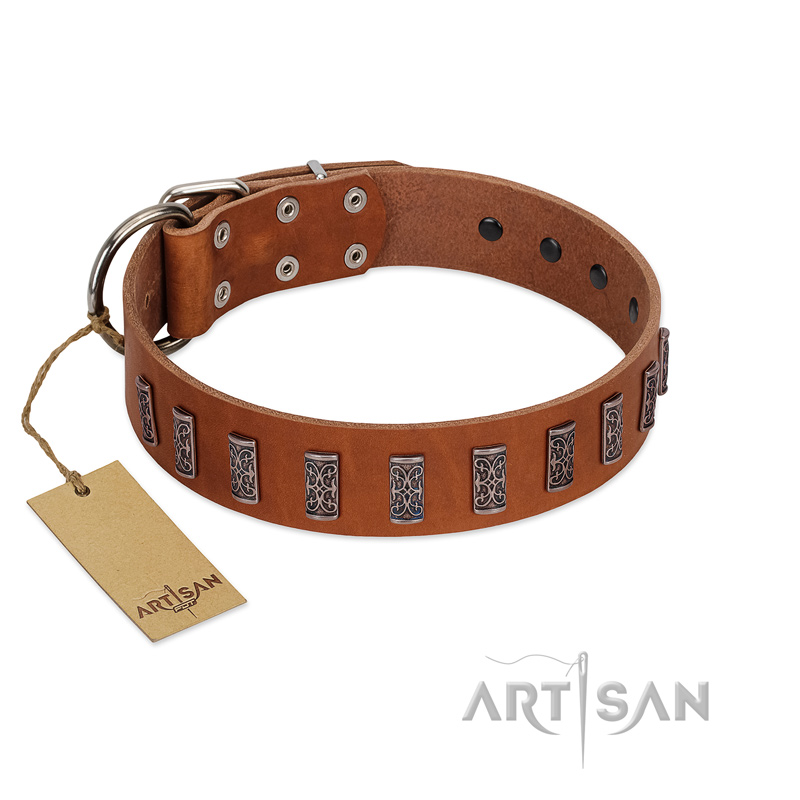 "Silver Century" Fashionable FDT Artisan Tan Leather Great Dane Collar with Silver-Like Plates