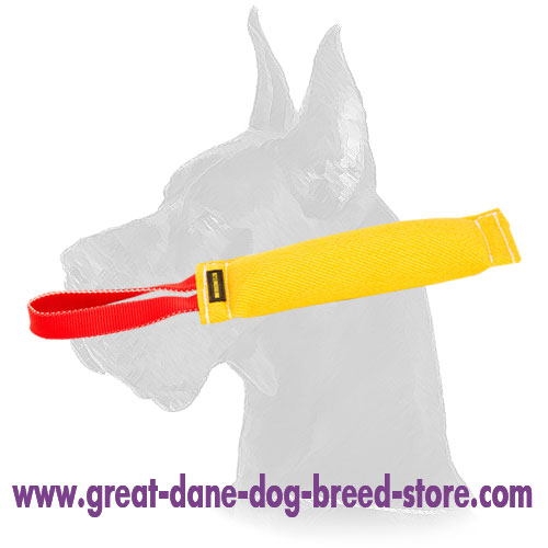 Dog Bite Tug with Convenient Handle for Great Dane