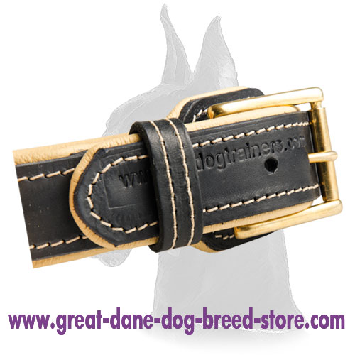 Chic Spiked Collar for Great Dane - Click Image to Close