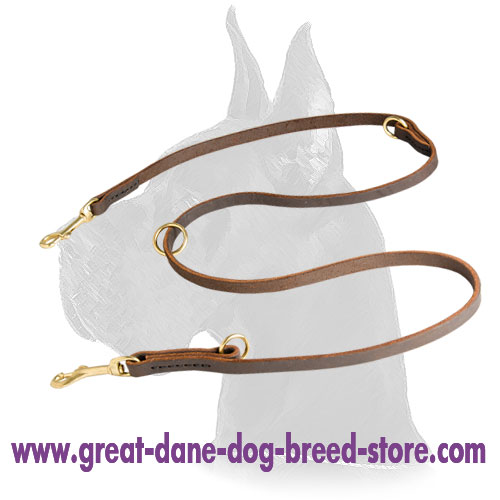 Shiny brass hardware for leather Great Dane leash