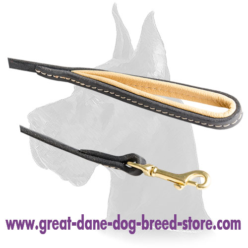 Elegant leather Great Dane leash with stitched padded handle
