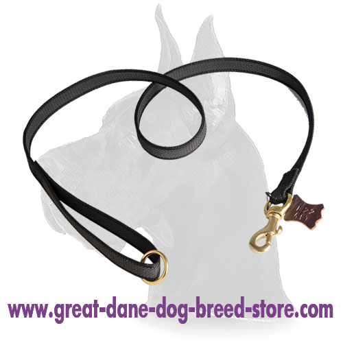I-grip nylon leash with soft handle