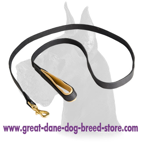 6 Foot Leather Snap Lead for Great Dane - Click Image to Close